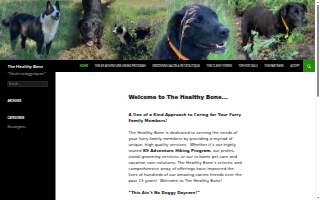 Healthy Bone