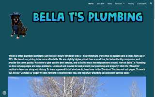 Bella T's Plumbing