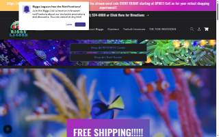 Biggslagoon website