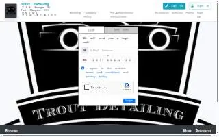Trout Detailing website