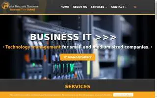 Alpha Network Systems website