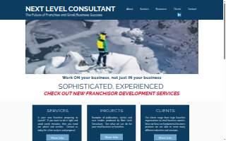 Next Level Consultant