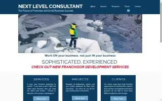 Next Level Consultant website