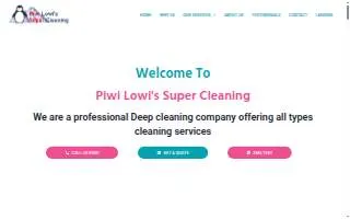 Piwi lowi's super cleaning website