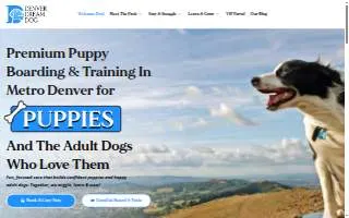 Denver Dream Dog website