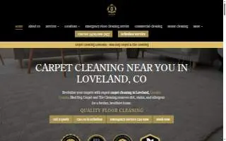Mad Dog Carpet and Tile Cleaning, LLC website
