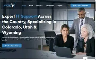 Viking InfoTech LLC website