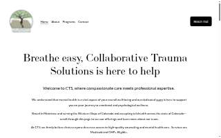 Collaborative Trauma Solutions