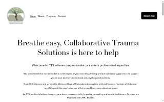 Collaborative Trauma Solutions website