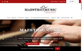 Maestro Music Institute Music Lessons