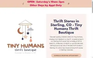 Tiny Humans Thrift Boutique website