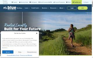 Blue Federal Credit Union - Superior Marketplace