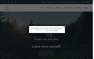 New Vista Mental Health