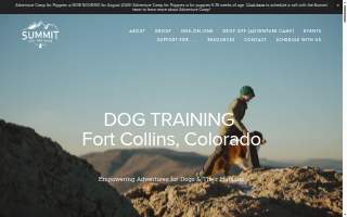 Summit Dog Training LLC of Windsor