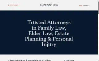 Androski Law Firm website