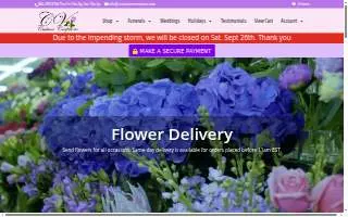 CV Custom Creations website