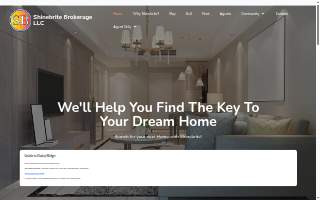 Shinebrite Brokerage LLC