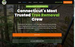 Tree Wise Guys of CT LLC
