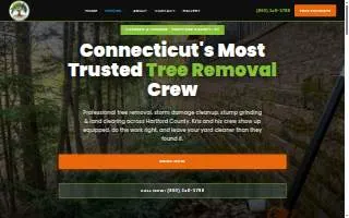 Tree Wise Guys of CT LLC website
