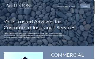 Wellstone Insurance