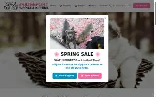 Bridgeport Puppies and Kittens website