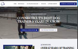 Coaching 4 paws of Bristol