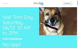 Bona fide Pets and Grooming website