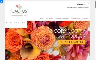 Cactus Flowers by Tania website