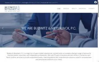 Budwitz & Meyerjack PC: ZIEBKA MICHAEL A CPA website
