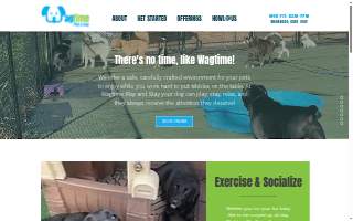 Wagtime Play and Stay of Glastonbury