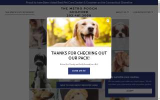 The Metro Pooch of Guilford
