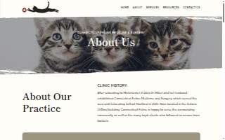Connecticut Feline Medicine and Surgery of Manchester