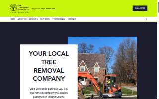 D&B diversified services llc