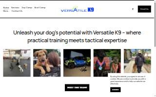 Versatile K9 of Manchester