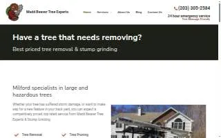 Madd Beaver Tree Experts & Stump Grinding Service of Milford website