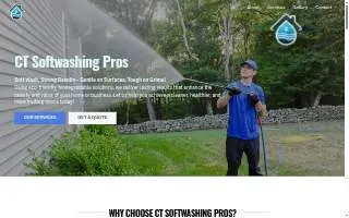 CT Soft Washing Pros website