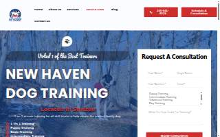 Clark's Companion Dog Training LLC of New Haven