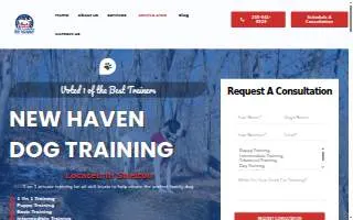 Clark's Companion Dog Training LLC of New Haven website