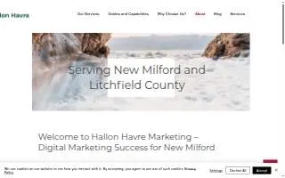 Hallon Havre Marketing LLC website