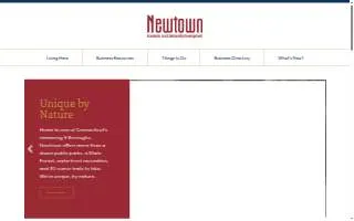 Newtown Nail Spa website