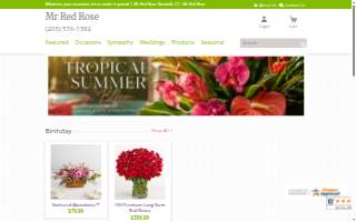 Mr Red Rose