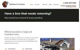 Madd Beaver Tree Experts & Stump Grinding Service of Orange