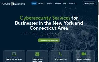 Future Subnets website