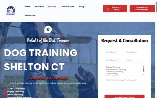 Clark's Companion Dog Training LLC of Shelton