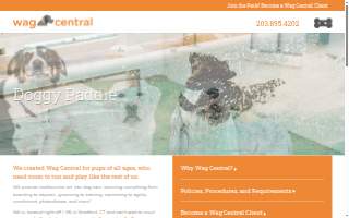 Wag Central