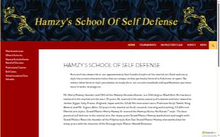 Hamzy's Karate