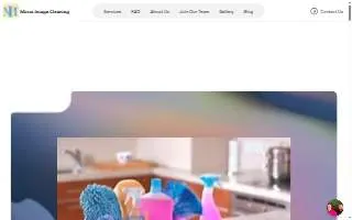 Mirror Image Cleaning of Torrington website