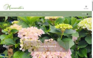 Moscarillo's Garden Shoppe