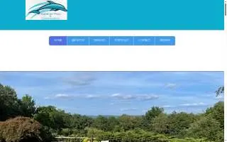 Superior Pool & Construction website