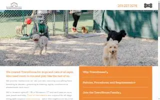 Town House For Dogs & Cats of Westport website
